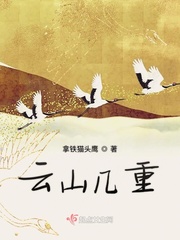 云山几重封面