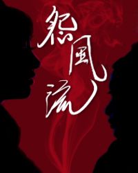 怨风流封面