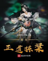 重生正道栋梁封面