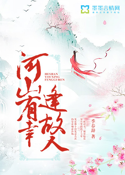 河山有幸逢故人封面