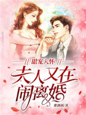 甜宠入怀,夫人又在闹离婚封面