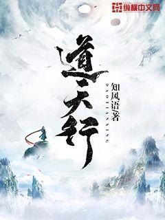 道天行封面