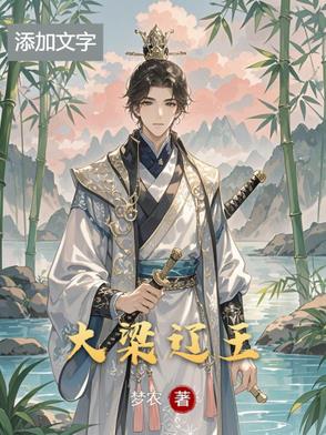 大梁辽王封面