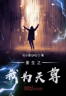 重生之我为天尊封面