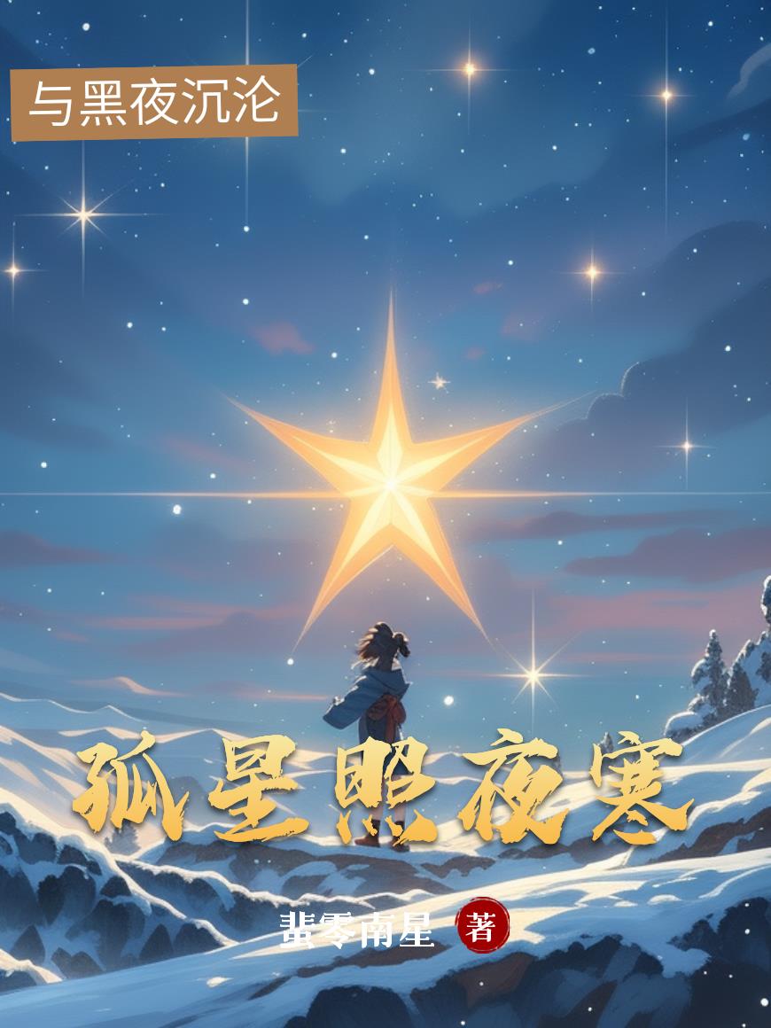 孤星照夜寒封面