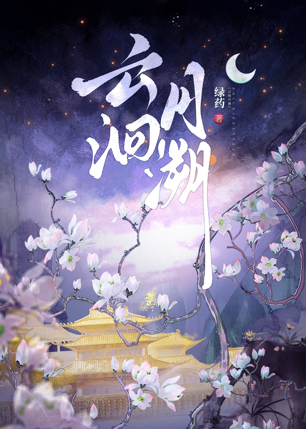 阿姐封面