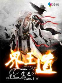界王道封面