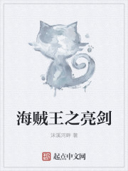 海贼王之亮剑封面