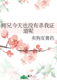 渣了那个师兄封面