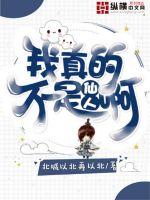 我真的不是仙人啊封面