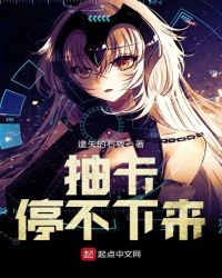 抽卡停不下来封面