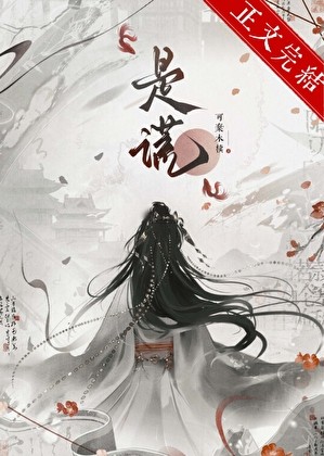 双生谎封面