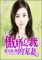 蜜恋66天：傲娇总裁的宠妻封面