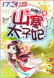 山寨太子妃封面