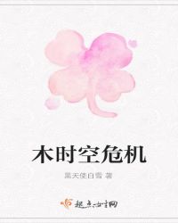 木时空危机封面