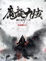 魔龙九域封面