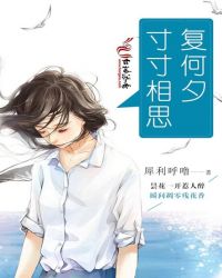 寸寸相思复何夕封面