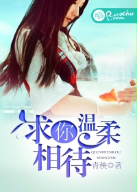 求你温柔相待封面