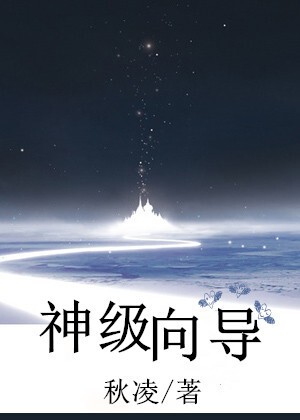 神级向导封面