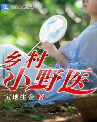 乡村小野医封面