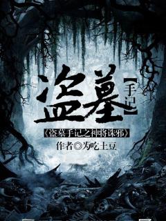 盗墓手记之神将诛邪封面