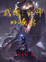 武魂：巫师的崛起封面