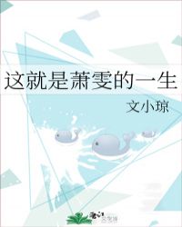 这就是萧雯的一生封面