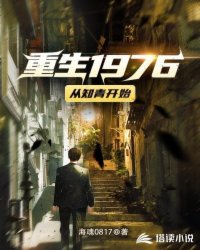 重生1976从知青开始封面