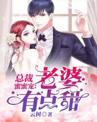 总裁蜜蜜宠:老婆有点甜封面