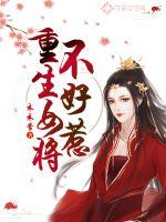 重生女将不好惹封面