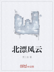 北漂风云封面