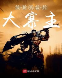 我是无敌的大寨主封面