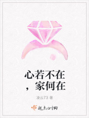 心若不在，何以家为封面