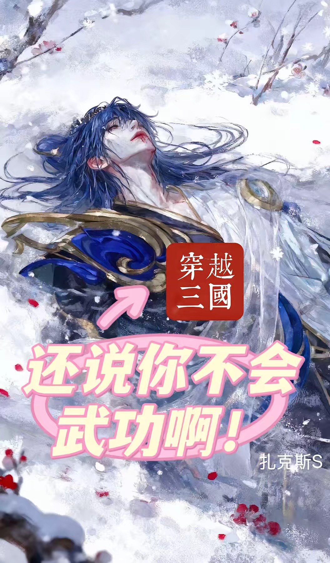 穿越三国还说你不会武功啊！封面