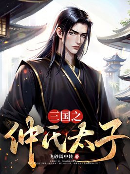 三国之仲氏太子封面