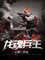 龙魂兵王封面