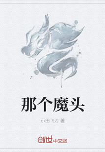 那个魔头封面