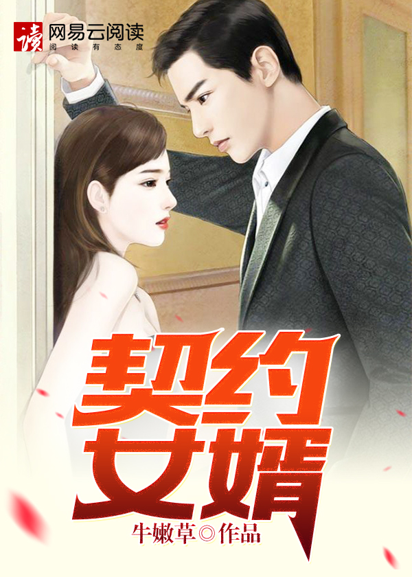 契约女婿封面