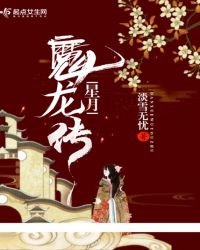 星月魔龙传封面