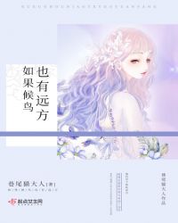 如果候鸟也有远方封面
