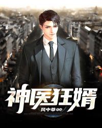神医狂婿封面