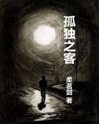 孤独之客封面