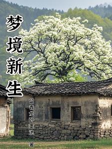 梦境新生封面