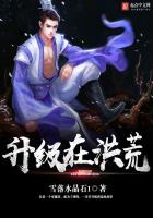 升级在洪荒封面