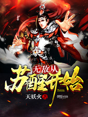 无敌从苏醒开始封面