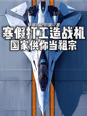 寒假打工造战机，国家供你当祖宗封面