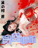 完美神雕封面