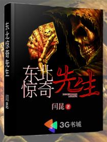 东北惊奇先生封面