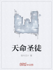 天命圣徒封面