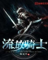 流放骑士封面